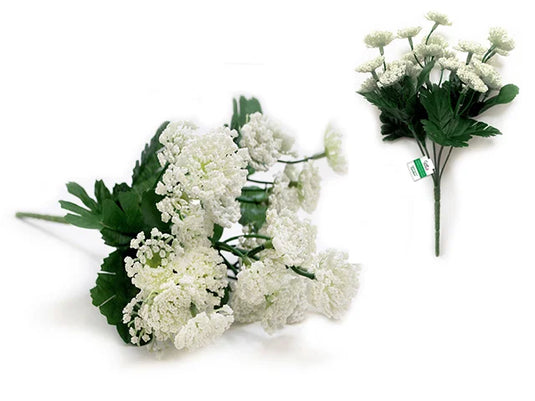 Enchanted Garden Filler: Queen Anne's Lace Bush x5 B) White