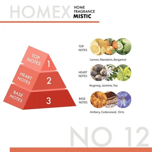 HOMEX A/F 300ML MISTIC