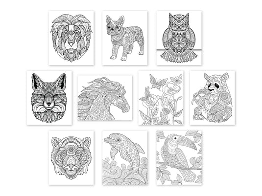 Color Factory: 9.8"x11.8" Canvas Pad w/Design Outlines 10Sheet A) Animal Kingdom