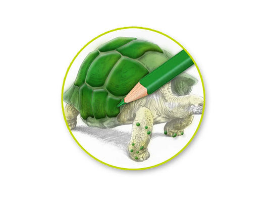 Color Factory: 3D Embossed Coloring Sketch Pad 8"x8" 250gsm 24Sht B) Tropicana