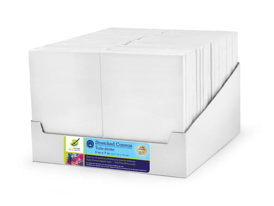 Stretch Artist Canvas: 5"x7" Value Box Triple-Primed