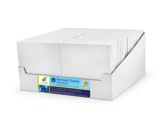 Stretch Artist Canvas: 5"x5" Value Box Triple-Primed