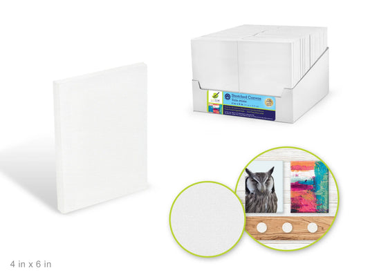 Stretch Artist Canvas: 4"x6" Value Box Triple-Primed