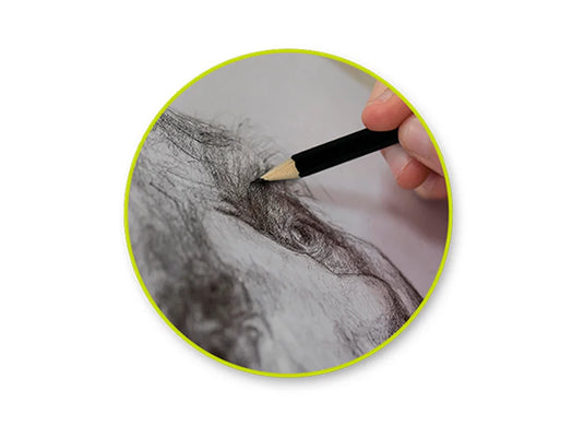 Color Factory Tool: Graphite Pencils Medium