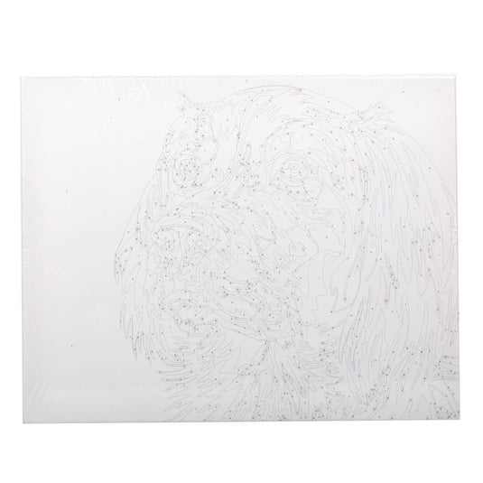 T4C,Color by no., dog canvas, Acrylic Paint, Paper Box