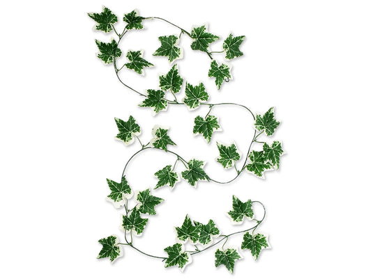 Floral Greenery: 6Ft Ivy Vine Green D) Holland Ivy