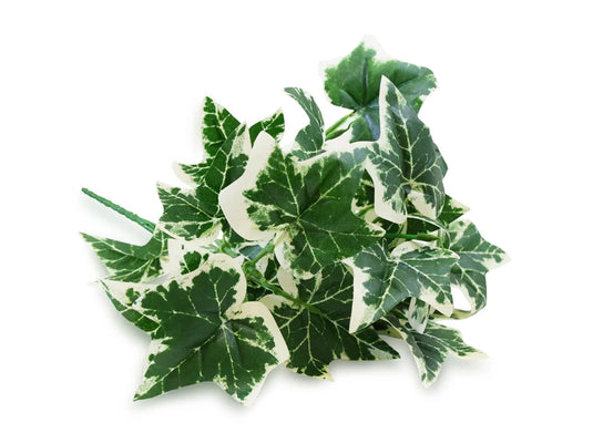 Floral Greenery: 12.6" Leaf Bush A) Holland Ivy