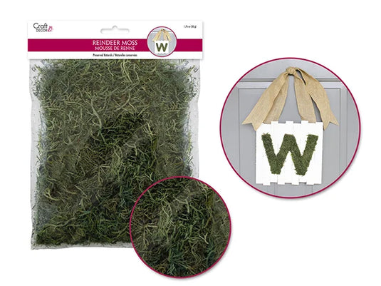 Craft Decor Dried Naturals: 50g Reindeer Moss Green