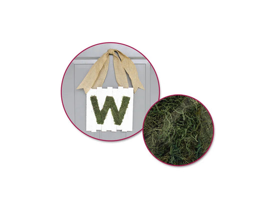 Craft Decor Dried Naturals: 50g Reindeer Moss Green