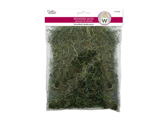 Craft Decor Dried Naturals: 50g Reindeer Moss Green