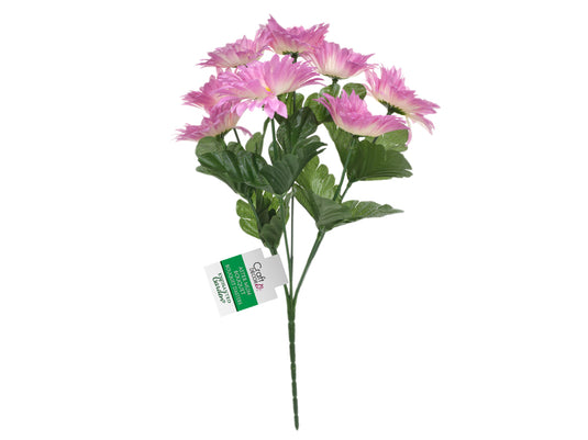 Enchanted Garden: 32cm Aster Mum Bouquet x8 Heads