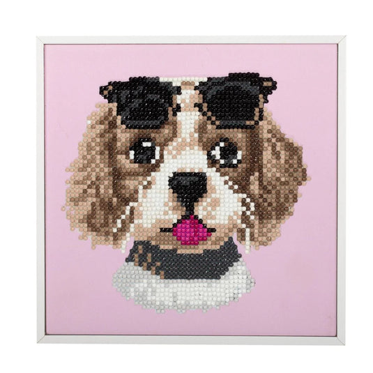 T4C,Crystal Art, dog sunglasses 20x20cm, white frame, kraft box