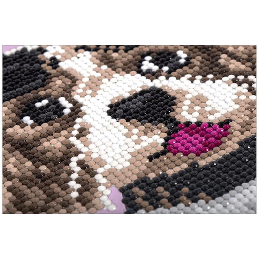 T4C,Crystal Art, dog sunglasses 20x20cm, white frame, kraft box