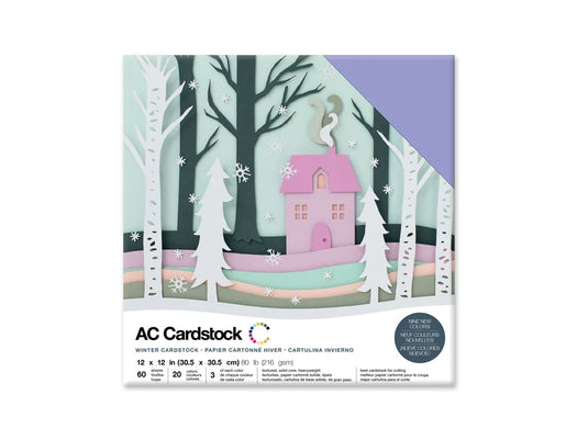 Scrapbook Cardstock: 12"x12" 80lb (216gsm) Textured 60Sht F) Winter