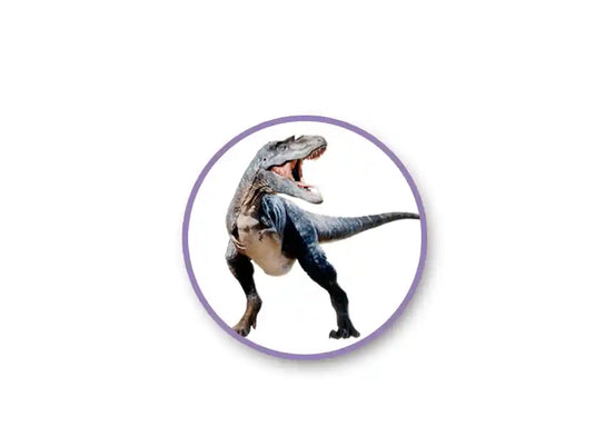 Paper Craft Sticker: 5"x12" Classic Themes 'Clear' Photo Safe E) Dinosaurs
