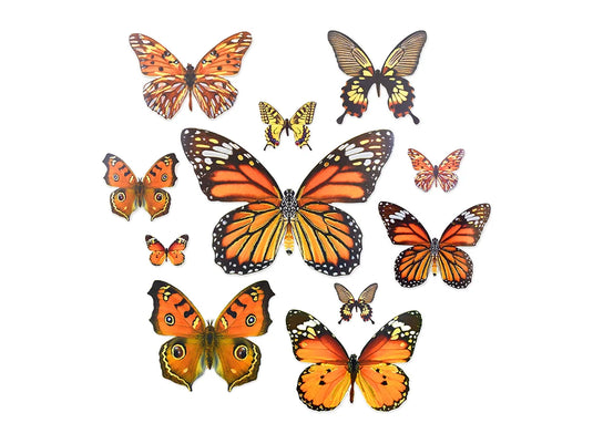 Paper Craft Emb: Butterfly Die Cuts w/Foil Accents B) Orange