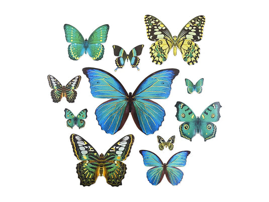 Paper Craft Emb: Butterfly Die Cuts w/Foil Accents C) Blue