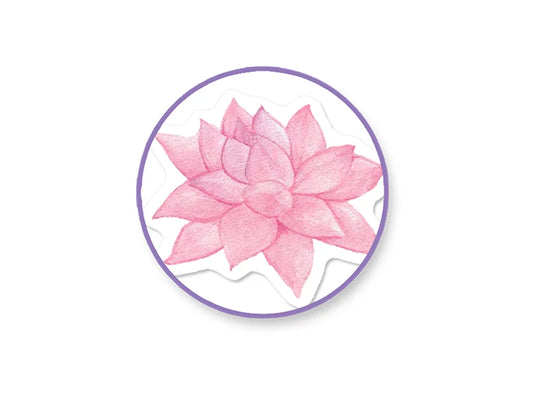 Paper Craft Sticker: 5"x12" 2-Sticker Themed Set F) Succulents