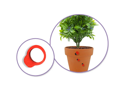 Paper Craft Emb: 1/2"-3/4" Mini Plastic Ladybugs x24 Peel-n-Stick