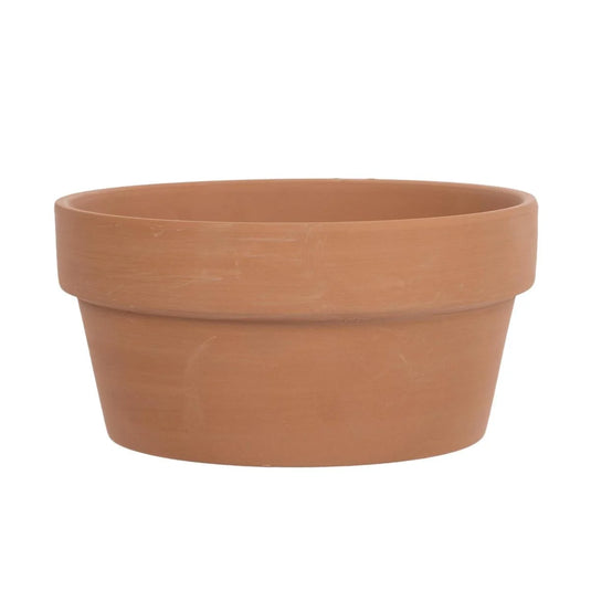 Garden E. 6.7" Terracotta Succulent Planter