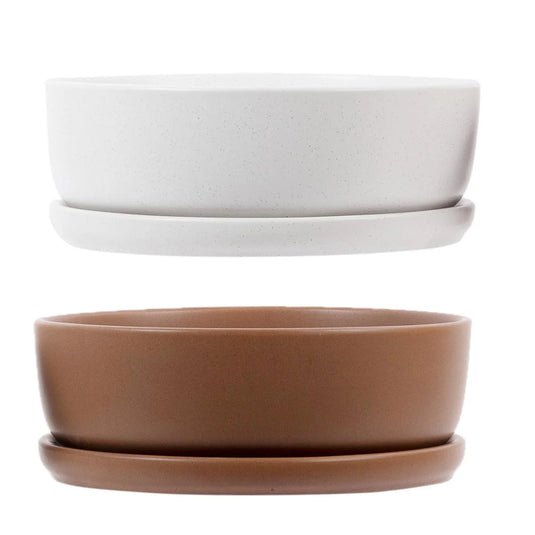 Garden E. 8" Ceramic Planter with Saucer