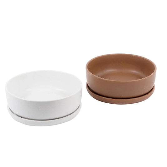 Garden E. 8" Ceramic Planter with Saucer