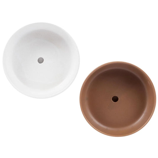 Garden E. 8" Ceramic Planter with Saucer