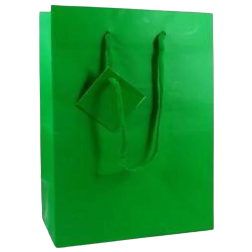 GIFT BAG SOLID COLOR EXTRA LGE BRIGHT GRN