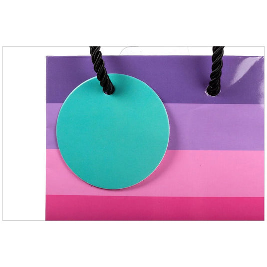 Paper T., Bottle Gift Bag, Rainbow Stripes, Glossy 180GSM,Tag +j-hook