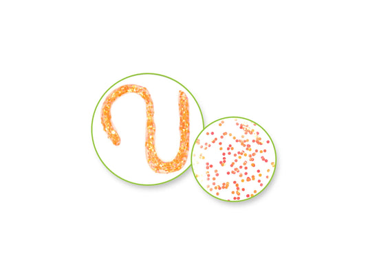 Twinkle Town: 60ml Confetti Glitter Glue PDQ 8eax6col A) Laser