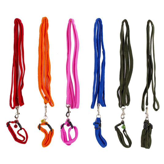PAWS.1.2m Pet Leash w/Collar