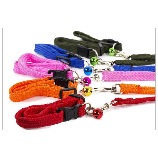 PAWS.1.2m Pet Leash w/Collar
