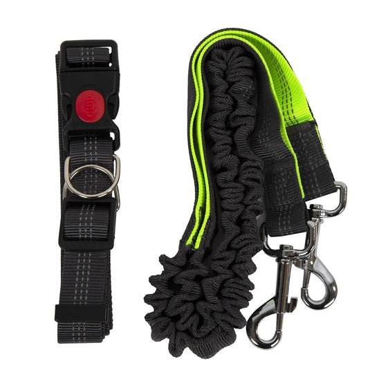 PAWS Hands free Dog Leash w/waist belt, tie-on-card