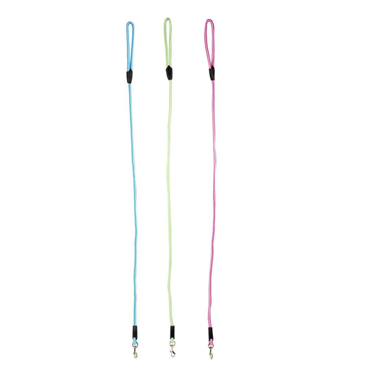 PAWS, 4' Dog Leash, t.o.c.