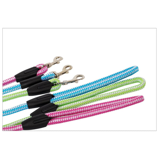 PAWS, 4' Dog Leash, t.o.c.