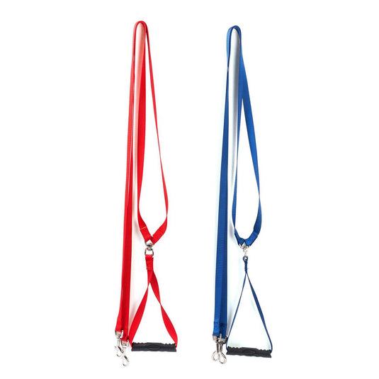 PAWS Dual Dog Leash, hang card