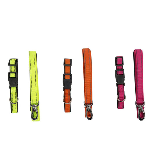 PAWS Reflective Collar& Leash Set 13"- 20", TOC w/J Hook(CS)