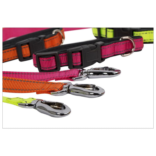 PAWS Reflective Collar& Leash Set 13"- 20", TOC w/J Hook(CS)