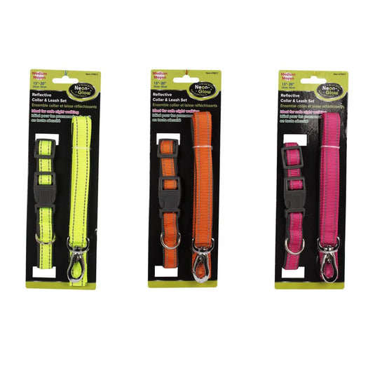 PAWS Reflective Collar& Leash Set 13"- 20", TOC w/J Hook(CS)