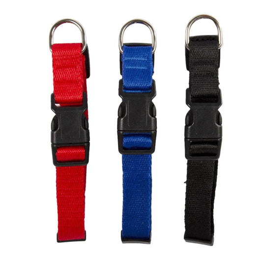 PAWS Adjustable Nylon Dog Collar