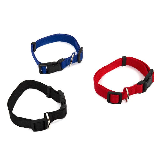 PAWS Adjustable Nylon Dog Collar