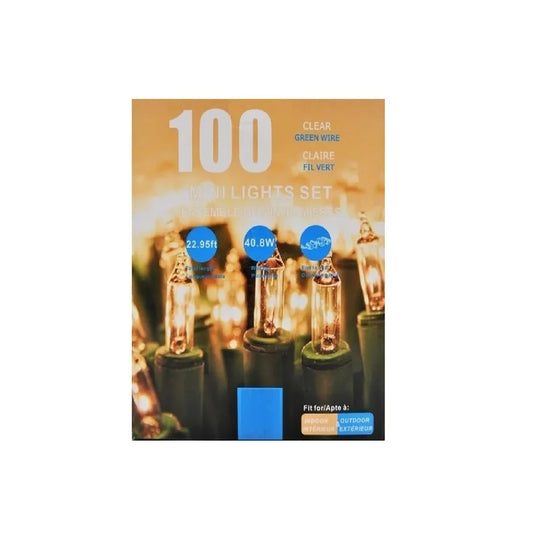 INDOOR/OUTDOOR LED WHITE- 100lt Mini light set