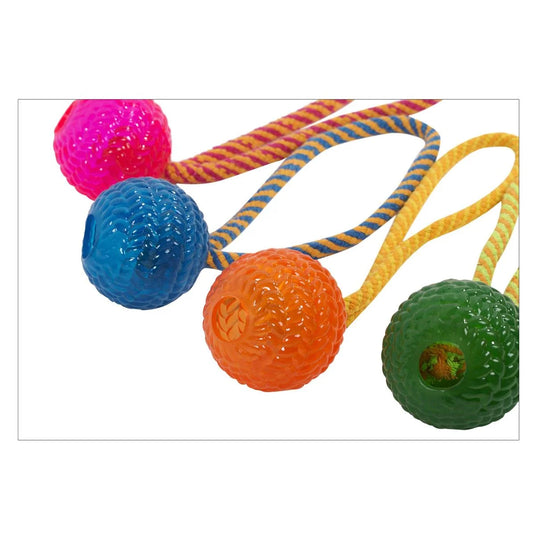 PAWS 9.5" Rope Ball Pet Toy, hang card