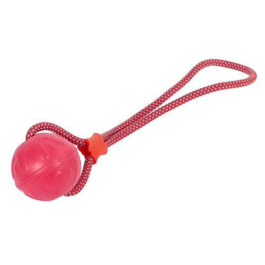 PAWS 16" Floating Rope Ball, Tie Card
