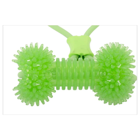 PAWS Rope Tug Toy w/TPR Spiny Bone
