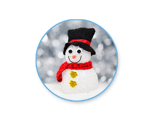 Seasonal Wonders: DIY Craft Kit Chenille/Poms/Eyes