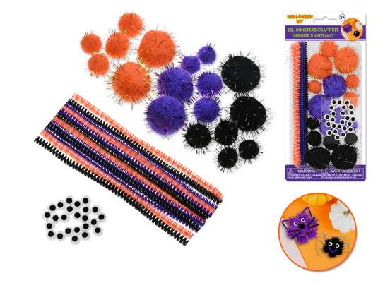 H'ween Craft: DIY Craft Kit Chenille Stems/Poms/Googly Eyes