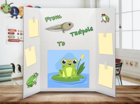 O.WKs. 36" x48" Presentation Board, White/White