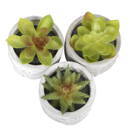 Country Garden Faux Plant in Cement Pot,3"x3"x4",3/s