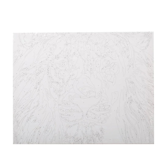 T4C,Color by no.,Lion canvas, Acrylic Paint, Paper Box